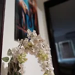 Cozy Enchanted Story - Sara * 스코페