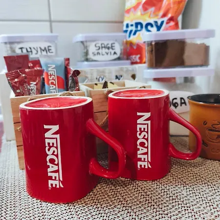 Cozy Enchanted Story - Sara 斯科普里