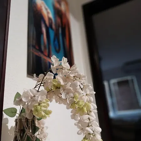 Cozy Enchanted Story - Sara * 斯科普里