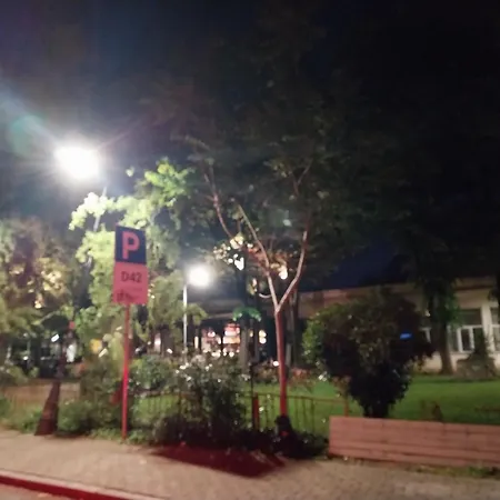 Cozy Enchanted Story - Sara