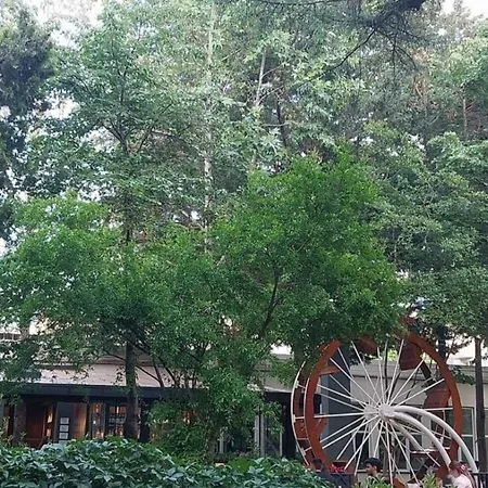 Cozy Enchanted Story - Sara Apartamento