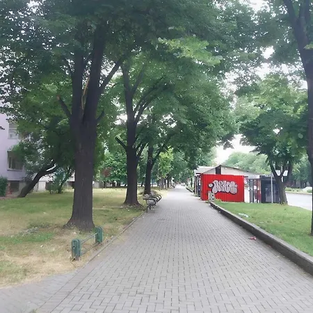 Cozy Enchanted Story - Sara *