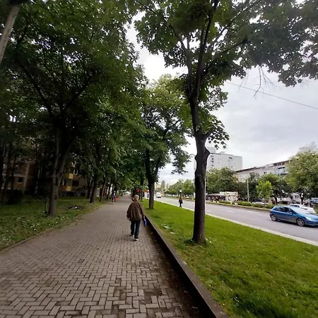 Cozy Enchanted Story - Sara