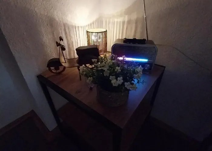 Cozy Enchanted Story - Sara *