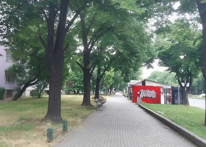 Cozy Enchanted Story - Sara *