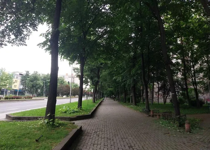 Apartment Cozy Enchanted Story - Sara *