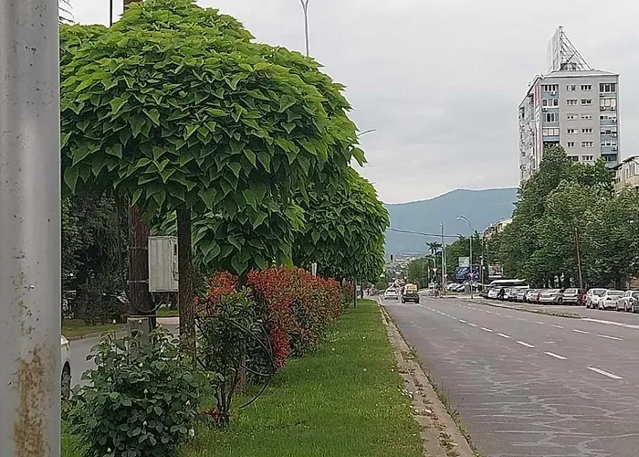 Apartment Cozy Enchanted Story - Sara