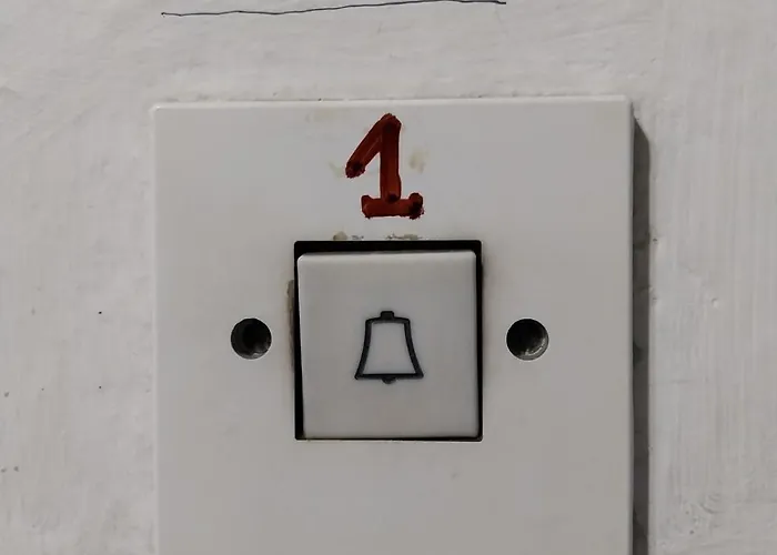 Cozy Enchanted Story - Sara